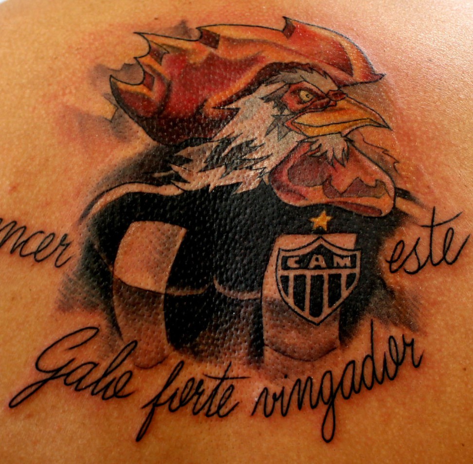 galo doido galo doido