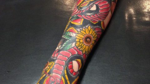 tattoo antebraço cobra neotradicional