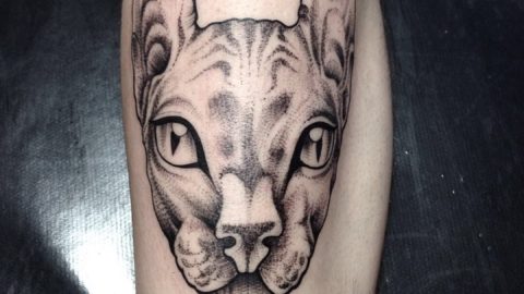 tatuagem-gato