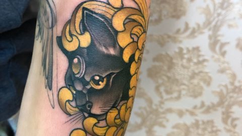 tatuagem-gato-neotradicional-min