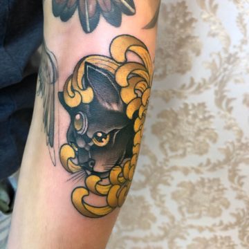 tatuagem-gato-neotradicional-min